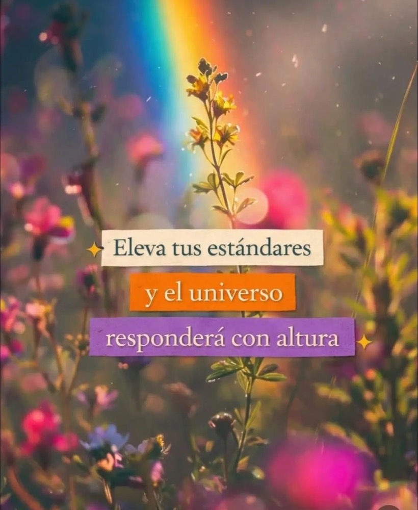 Eleva tus estándares y el universo responderá con altura